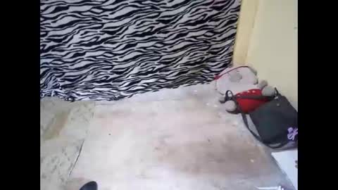 bella    passwordshow 500tokens  no time limit online show from December 14, 11:55 pm