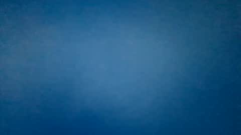 hummelbummel00 online show from February 14, 6:32 pm