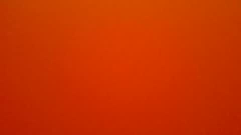 hundeleine online show from April 21, 7:04 am