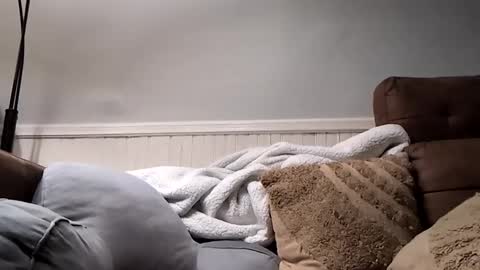 hungitalian40 online show from October 15, 5:22 am