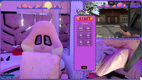 Ashley online show from December 12, 8:03 am