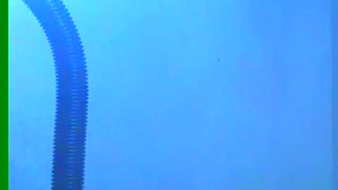 Samuel igsamuelnoguera 1333 online show from December 18, 10:35 pm