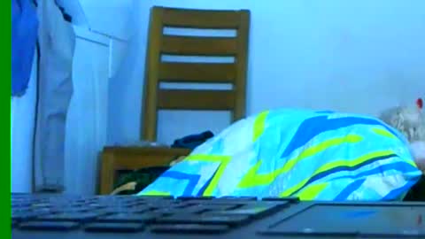 Samuel igsamuelnoguera 1333 online show from January 26, 3:27 am