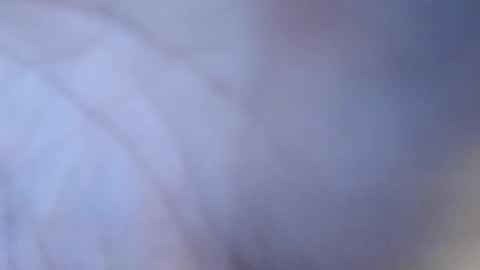 icyfucktoy online show from November 6, 8:45 pm