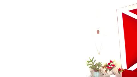 Isabella online show from November 14, 8:00 pm