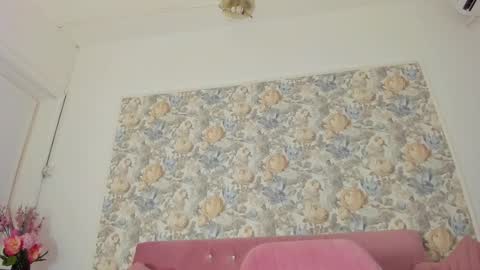 illegal_lorry online show from January 8, 5:57 am