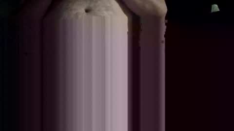 imafktoy online show from December 21, 7:48 am