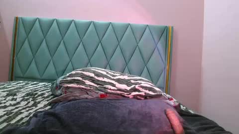 Parul online show from February 19, 1:06 pm
