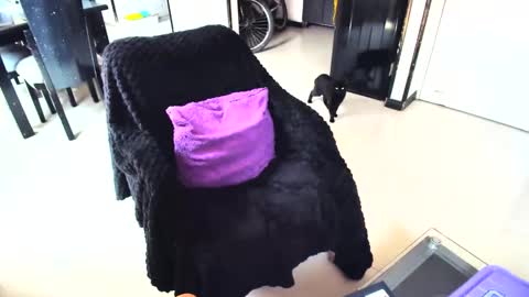 Snapshot of irinastephann chatting on February 15, 4:45 pm irina online show from February 15, 4:45 pm