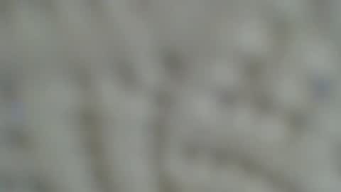 Irishdude2483 online show from January 15, 6:33 am