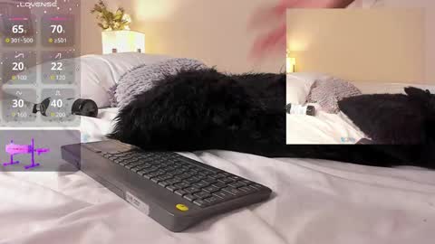 oIssaJonneso online show from February 19, 4:44 pm