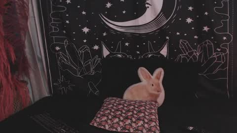 Snapshot of isabella__dark chatting on January 29, 11:14 pm online show from January 29, 11:14 pm