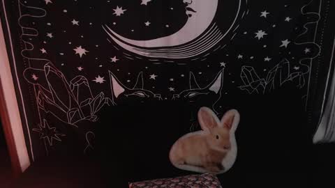 Snapshot of isabella__dark chatting on January 23, 12:14 am online show from January 23, 12:14 am