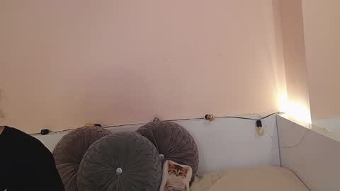 Snapshot of isabella__dark chatting on December 21, 12:42 am online show from December 21, 12:42 am