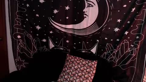 Snapshot of isabella__dark chatting on January 7, 1:17 am online show from January 7, 1:17 am