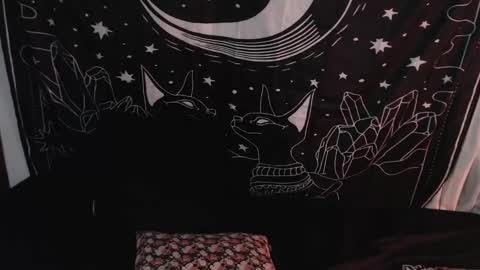 Snapshot of isabella__dark chatting on January 8, 1:42 am online show from January 8, 1:42 am