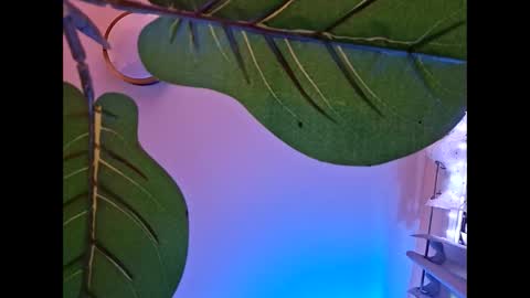 Isabella online show from October 23, 5:53 am