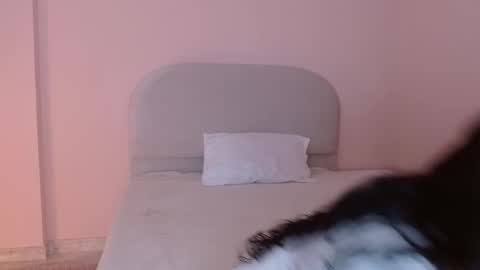 Isis  online show from October 10, 8:09 am