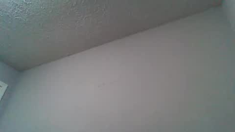 islandmaker online show from November 7, 7:55 am