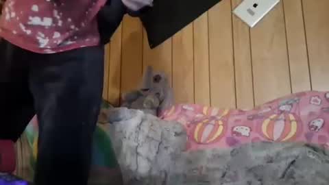 Girlnextdoor online show from January 17, 5:55 pm