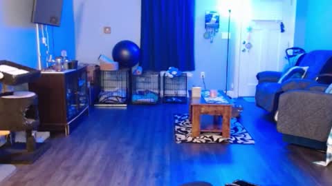 Snapshot of italiana25 chatting on February 2, 6:14 am Bella Bloom online show from February 2, 6:14 am