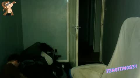    online show from September 13, 9:06 pm