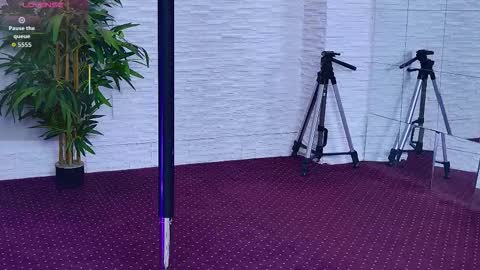 Celine online show from November 21, 6:55 am