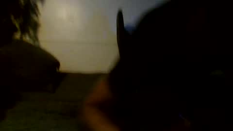 Snapshot of jamacianmehorny chatting on September 12, 2:46 am Jamacian online show from September 12, 2:46 am