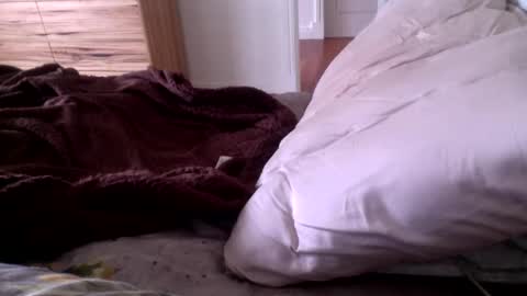 jamie291044 online show from April 13, 2:38 am