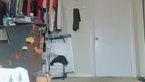 Bootyshows online show from October 1, 4:06 pm