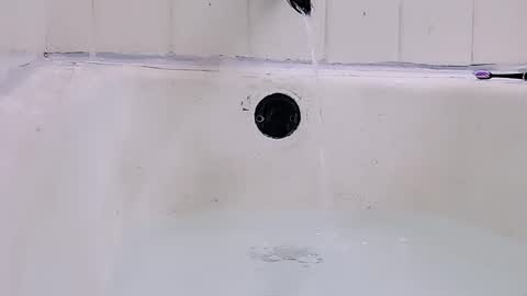 Bootyshows online show from March 1, 9:08 pm