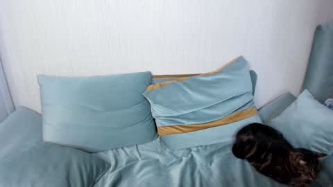 Snapshot of jane_modelxx chatting on January 25, 9:04 pm Jane online show from January 25, 9:04 pm