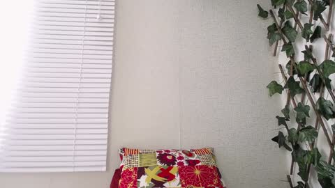 Snapshot of jasson_king01 chatting on January 8, 5:05 pm JKing online show from January 8, 5:05 pm