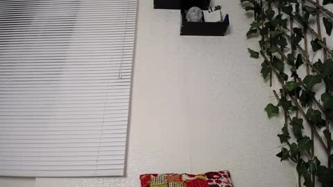 Snapshot of jasson_king01 chatting on January 15, 2:49 am JKing online show from January 15, 2:49 am