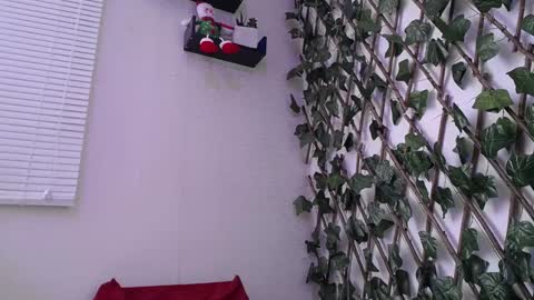 Snapshot of jasson_king01 chatting on December 17, 4:11 pm JKing online show from December 17, 4:11 pm