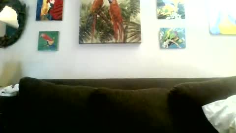 Snapshot of jay_jay1475 chatting on January 30, 8:31 pm jay-jay1475 online show from January 30, 8:31 pm