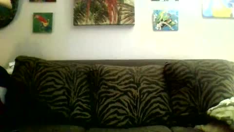 Snapshot of jay_jay1475 chatting on February 6, 11:15 pm jay-jay1475 online show from February 6, 11:15 pm