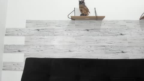 Jaycreedd online show from October 29, 4:14 am