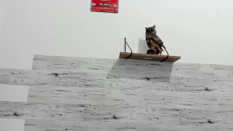 Jaycreedd online show from February 22, 11:24 pm