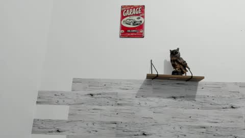 Jaycreedd online show from February 23, 3:56 am