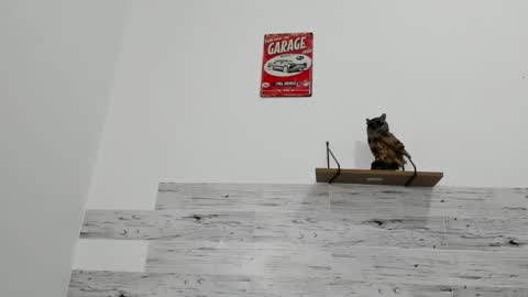 Jaycreedd online show from March 12, 6:18 am