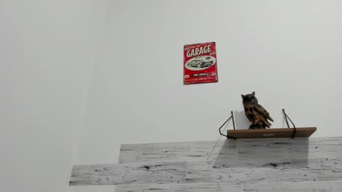 Jaycreedd online show from September 29, 12:42 am