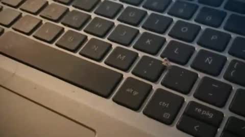 jaz_y_benja online show from April 20, 7:00 am