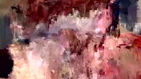 jedpiazza163893 online show from November 21, 6:00 am