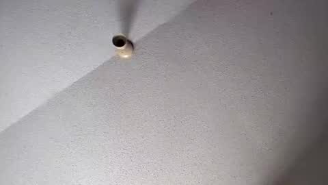 jefrojethro online show from January 6, 8:24 pm