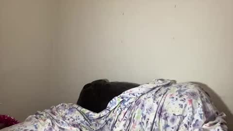 Mistress Jenni online show from December 3, 7:53 am