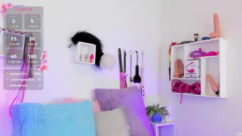 Tokio online show from January 17, 2:29 am