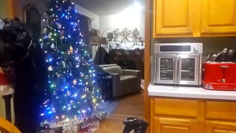 seductress Cyber Succubus online show from December 18, 10:16 pm