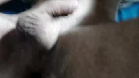 jjj963733 online show from October 12, 7:49 pm