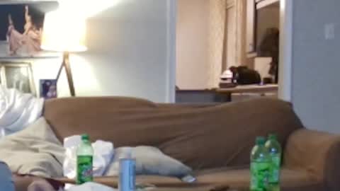 The best time guy online show from October 5, 10:23 am